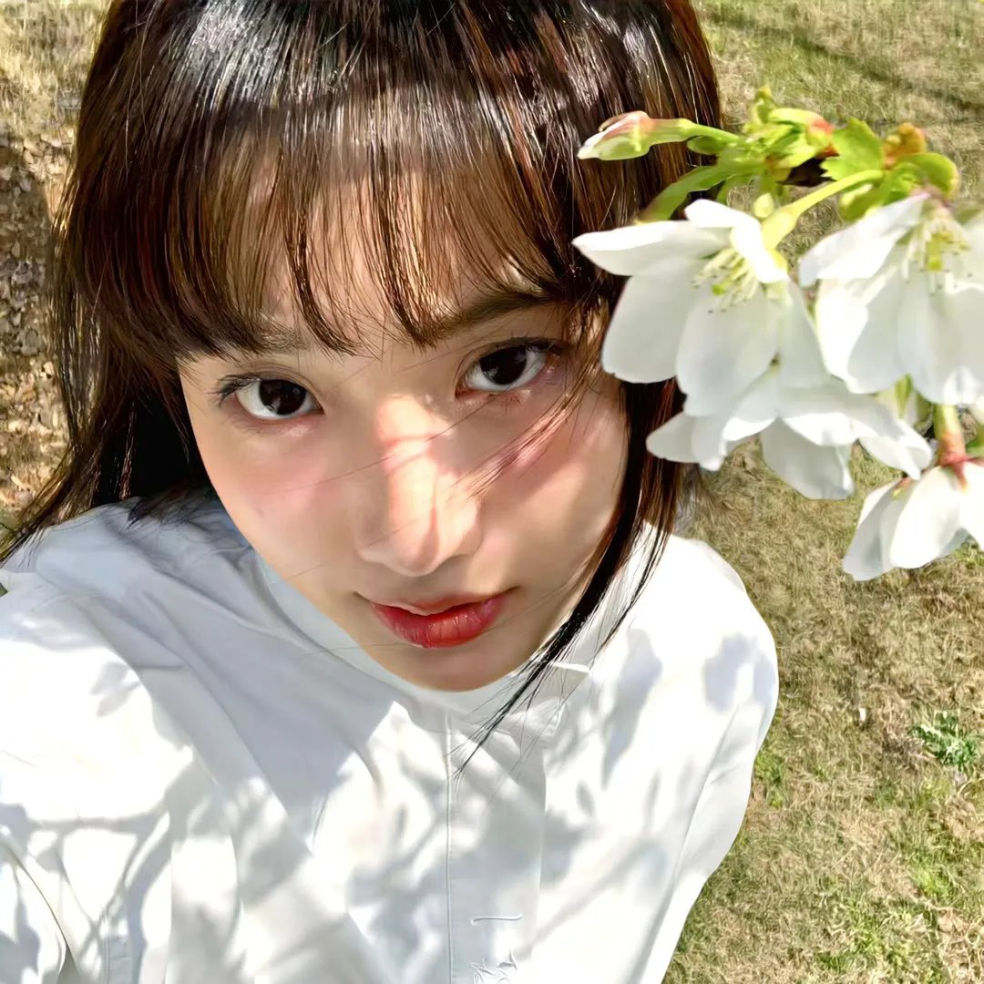 护照